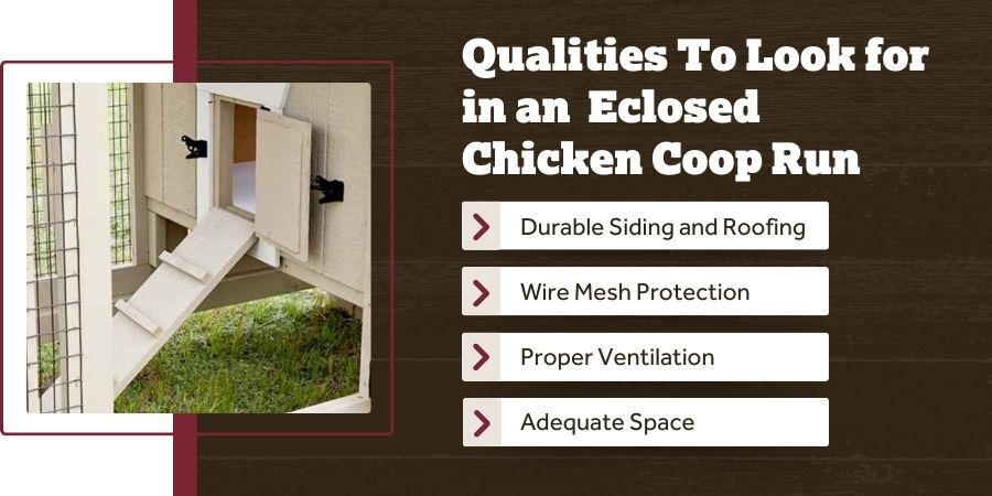 Blog_QualitiesToLookForInAnEnclosedChickenCoopRun_900x450