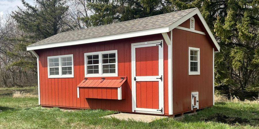 Is a Walk-In Chicken Coop the Best Option for Your Backyard?